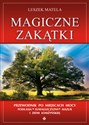 Magiczne zakątki Przewodnik po miejscach mocy Podlasia, Suwalszczyzny, Mazur i Ziemi Łomżyńskiej polish books in canada