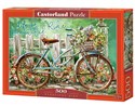 Puzzle Beautiful Ride 500 -  books in polish