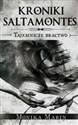 Kroniki Saltamontes Tajemnicze Bractwo polish books in canada