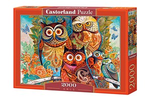 Puzzle Owls 2000 Polish bookstore
