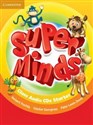 Super Minds Starter Class Audio 2CD polish books in canada