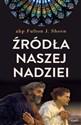 Źródła naszej nadziei Nieprzemijające słowa pociechy i ufności - Fulton Sheen