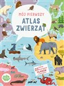 Mój pierwszy atlas zwierząt Polish bookstore