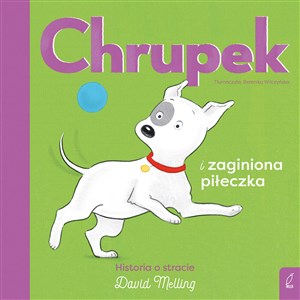 Chrupek i zaginiona piłeczka buy polish books in Usa