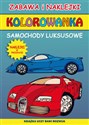 Kolorowanka Samochody luksusowe - Polish Bookstore USA