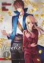 Umineko WHEN THEY CRY Episode 7 buy polish books in Usa