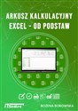 Arkusz kalkulacyjny Excel od podstaw Polish Books Canada