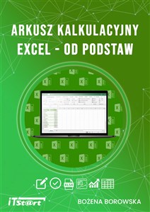 Arkusz kalkulacyjny Excel od podstaw Polish Books Canada