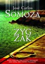 Zygzak pl online bookstore