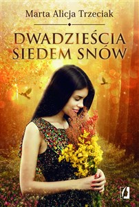 Dwadzieścia siedem snów 