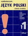 Vademecum mini Język polski 1 Szkoła średnia - Wojciech Rzehak