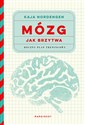 Mózg jak brzytwa Roczny plan treningowy Polish Books Canada