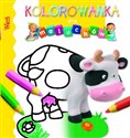 Wieś Kolorowanka dla maluchów pl online bookstore