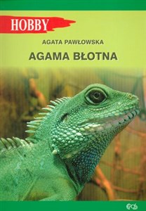 Agama błotna 