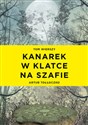 Kanarek w klatce na szafie to buy in USA