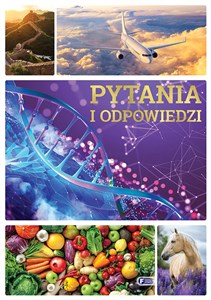 Pytania i odpowiedzi chicago polish bookstore