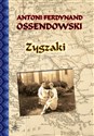 Zygzaki - Antoni Ferdynand Ossendowski