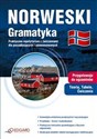 Norweski Gramatyka - Michał Jan Filipek