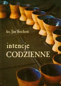 Intencje codzienne polish books in canada