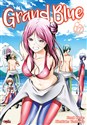 Grand Blue. Tom 17  online polish bookstore