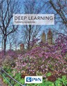 Deep Learning Współczesne systemy uczące się 