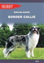 Border Collie online polish bookstore