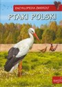 Encyklopedia zwierząt Ptaki Polski online polish bookstore