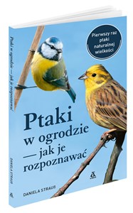 Ptaki w ogrodzie Jak je rozpoznawać Bookshop