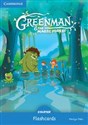 Greenman and the Magic Forest Starter Flashcards (Pack of 48) 