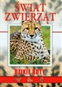 Świat zwierząt Dzikie koty in polish