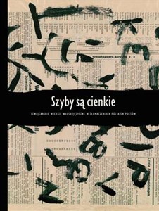 Szyby są cienkie Szwajcarskie wiersze włoskojęzyczne w tłumaczeniach polskich poetów  