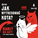 [Audiobook] Jak wytresować kota? Diabły, nie koty - Dawid Ratajczak