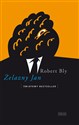 Żelazny Jan - Robert Bly