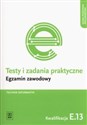 Testy i zadania praktyczne Technik informatyk Egzamin zawodowy Kwalifikacja E.13 books in polish