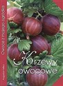 Krzewy owocowe - Augustyn Mika