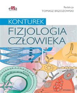 Fizjologia człowieka Konturek Polish bookstore