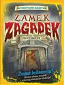 Zamek zagadek Matematyczne śledztwo - David Glover