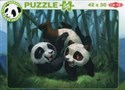 Panda Stars Puzzle B 56 bookstore