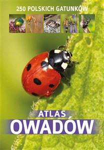 Atlas owadów 