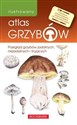 Ilustrowany atlas grzybów Przegląd grzybów jadalnych, niejadalnych i trujących. online polish bookstore