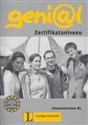 Genial B1 Intensivtrainer Język niemiecki dla młodzieży - Polish Bookstore USA