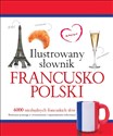Ilustrowany słownik francusko polski - Tadeusz Woźniak