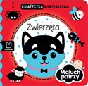 Maluch patrzy Zwierzęta Książeczka kontrastowa pl online bookstore