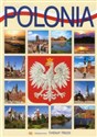 Polska wersja włoska buy polish books in Usa