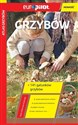 Atlas grzybów - Polish Bookstore USA