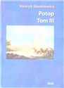 Potop T.3 Polish Books Canada