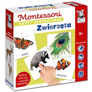 Montessori. Karty sensoryczne. Zwierzęta 2+ polish usa