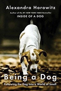 Being a Dog (Horowitz Alexandra)(Paperback), Simon & Schuster Export Ed 2016  