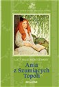 Ania z Szumiących Topoli - Lucy Maud Montgomery polish usa
