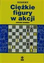 Ciężkie figury w akcji - Jakow Damski online polish bookstore